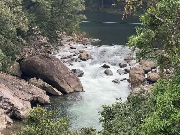 Kunthipuzha river rushing over boulders through dense rainforest in Silent Valley National Park