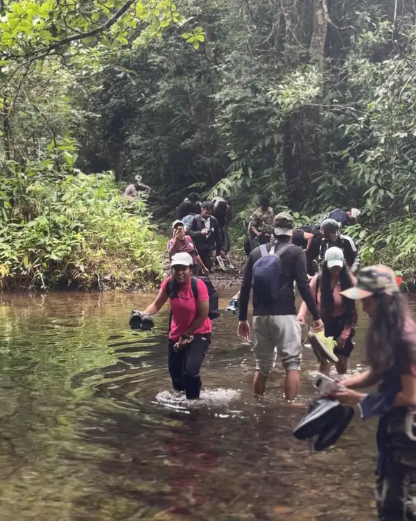 Trekkers carrying their shoes while wading across a forest stream on the Silent Valley trek